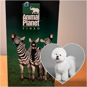 VHS EUC Animal Planet “All About Bichon Friese” 763268 Educational DogBreedVideo